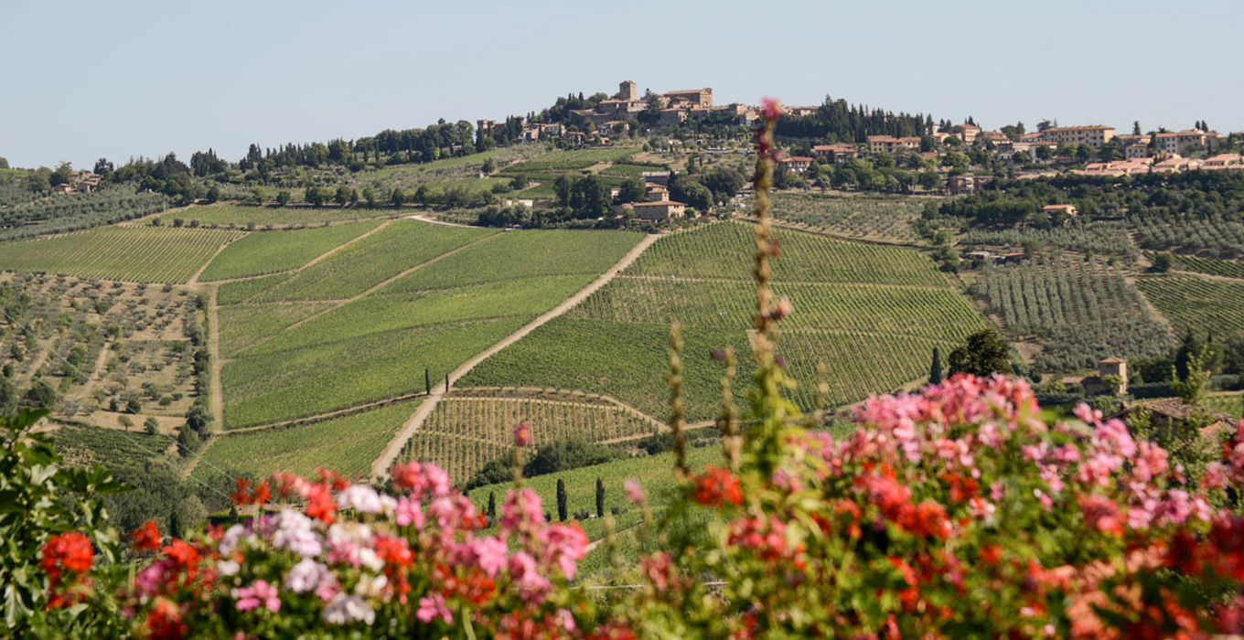 Fontodi