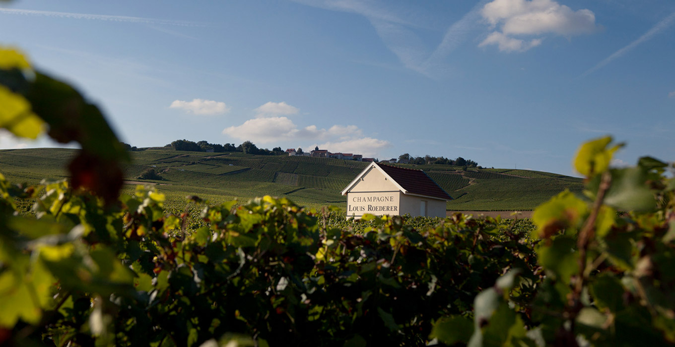 Louis Roederer