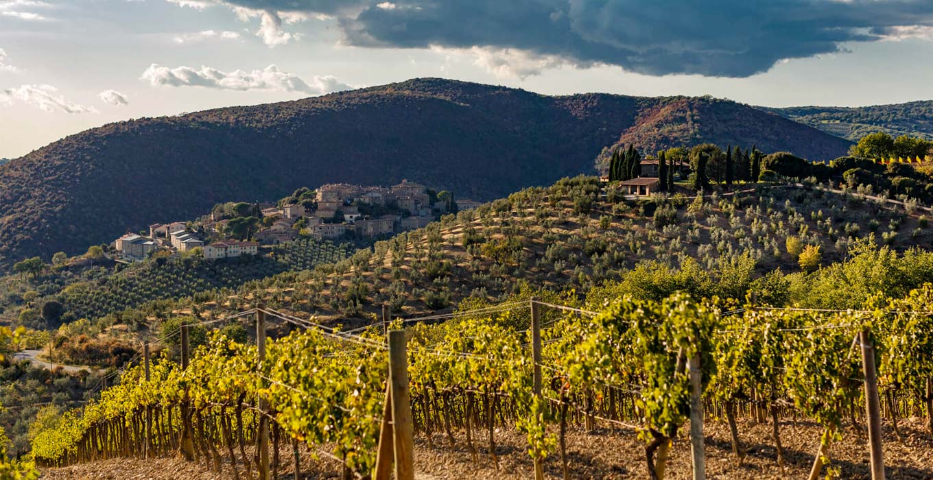 Tenuta Poggio Di Sotto