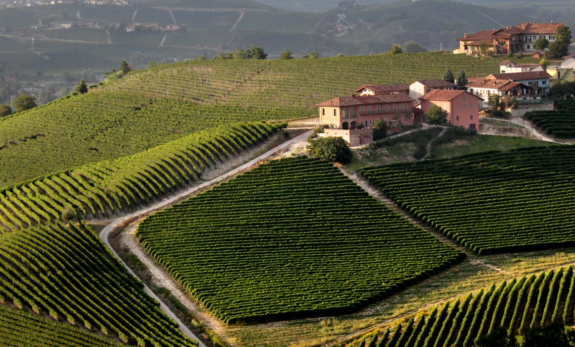 Cantina di Bussa Prunotto