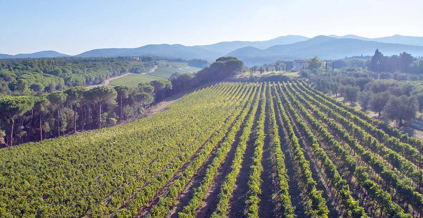 Tenuta Bisernio