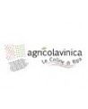 Agricolavinica