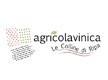 Agricolavinica
