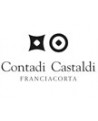 Contadi Castaldi