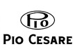 Pio Cesare
