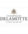 Delamotte