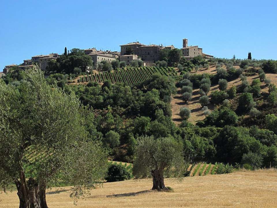 Poggio di Sotto