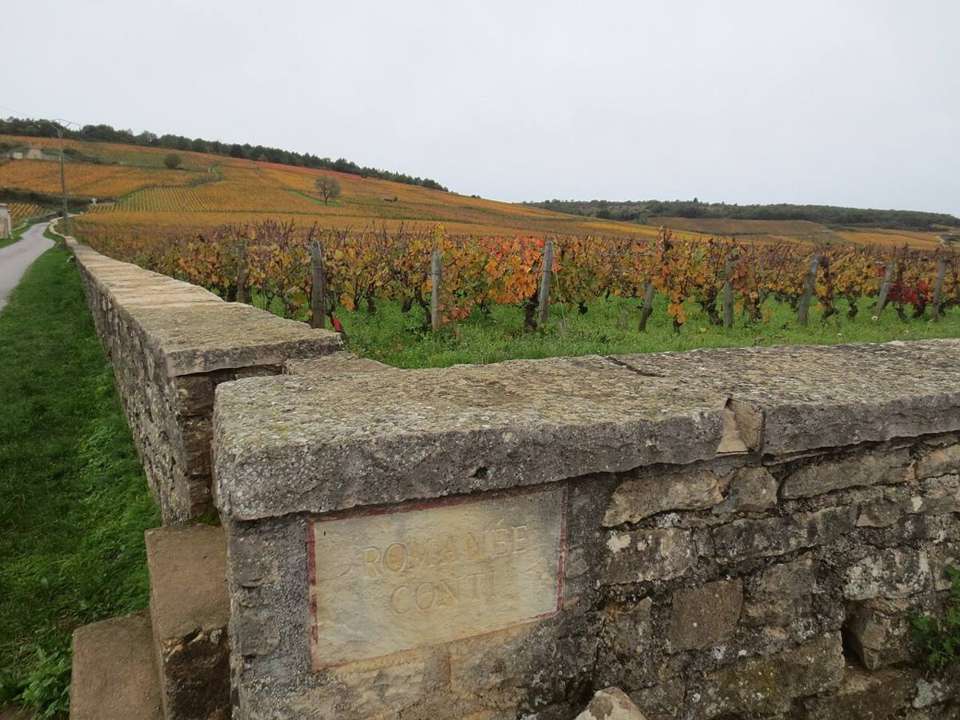 Domaine de la Romanée-Conti
