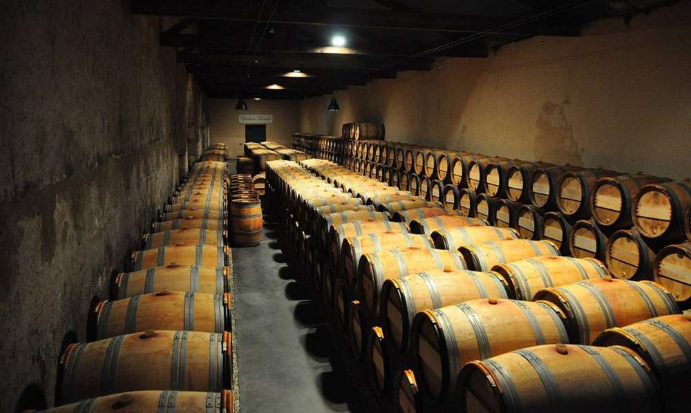 Barrique in una cantina di Bordeaux