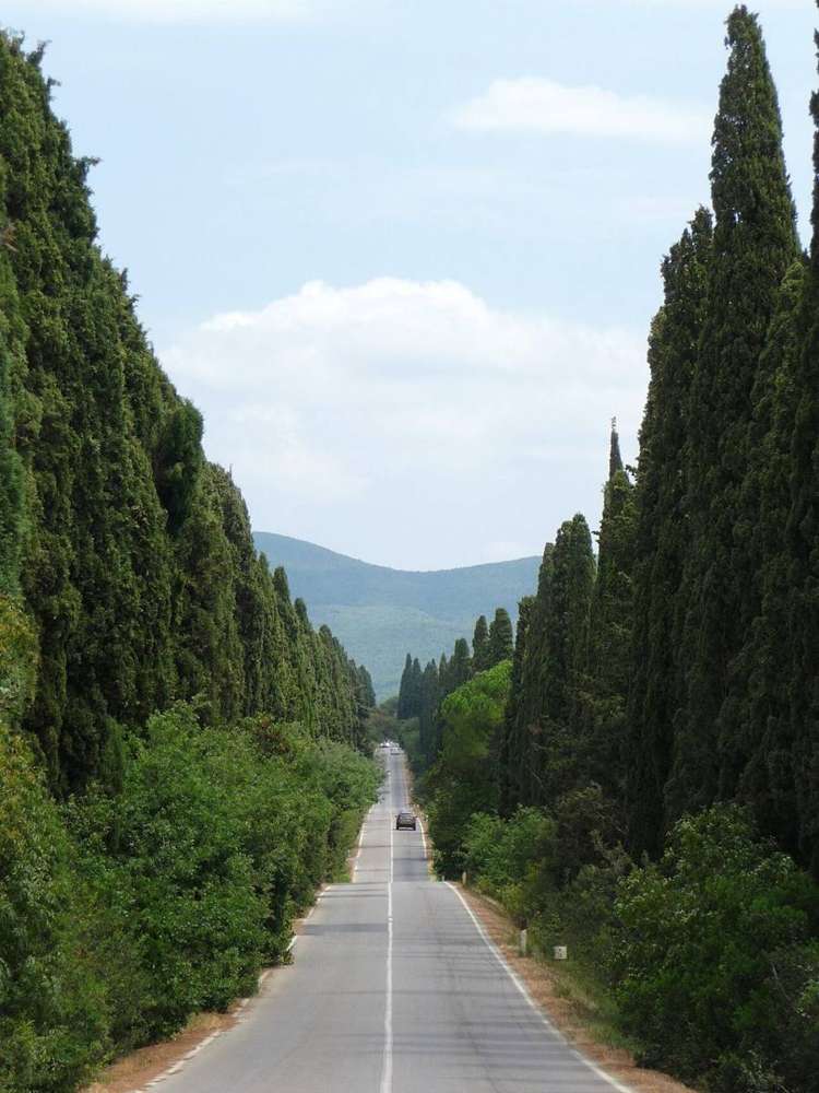 Tenuta San Guido
