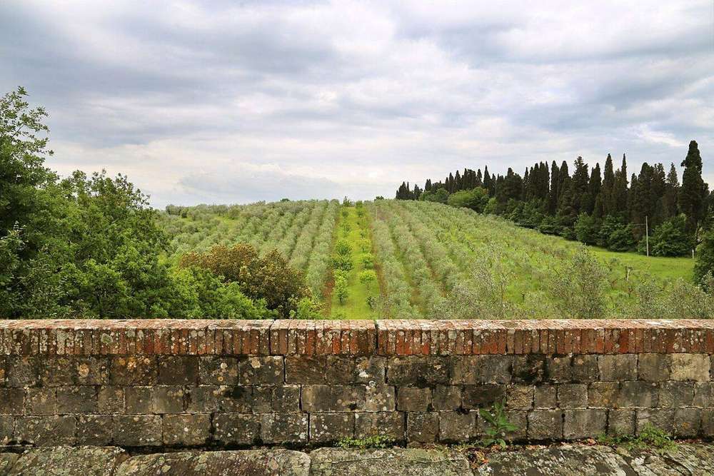 Sangiovese, Bolgheri e i Supertuscan
