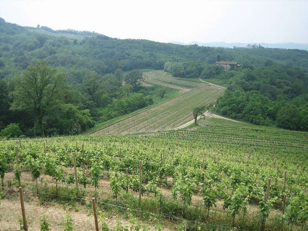 Friuli Venezia Giulia