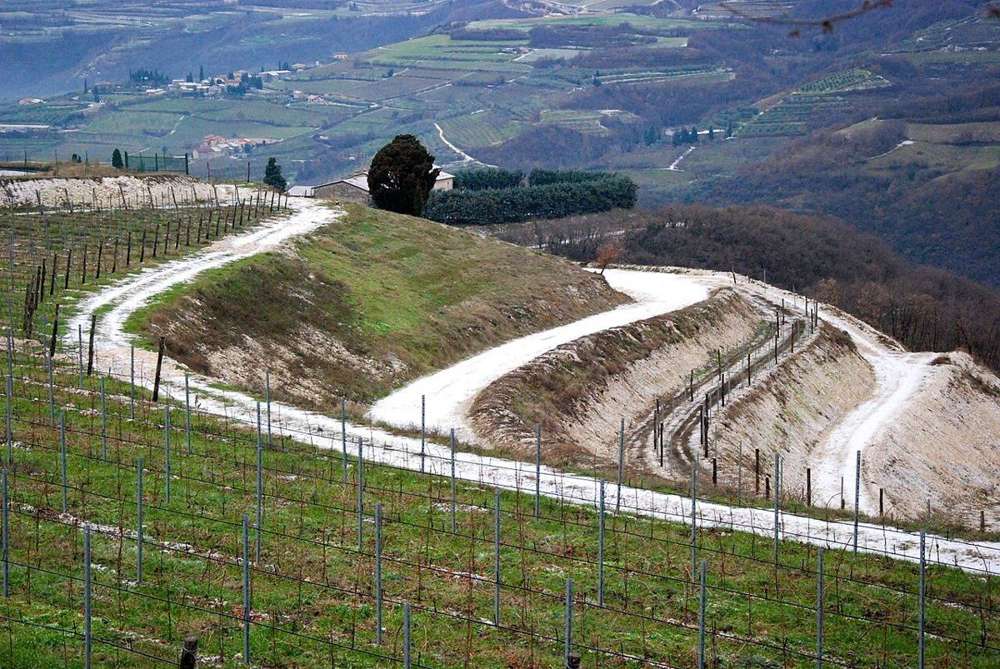Bertani